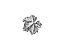Grape Leaf Icon